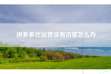 拼多多代运营没有访客怎么办