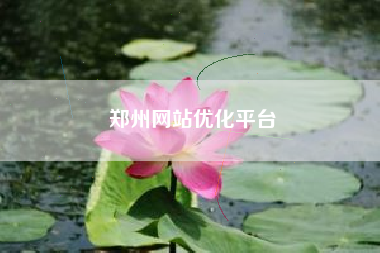 郑州网站优化平台
