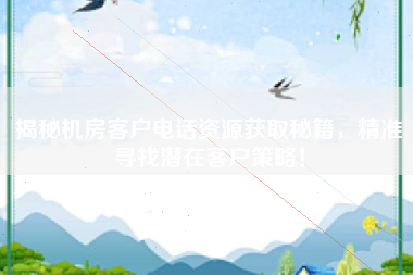 揭秘机房客户电话资源获取秘籍，精准寻找潜在客户策略！
