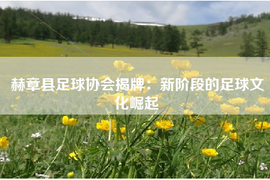 赫章县足球协会揭牌：新阶段的足球文化崛起