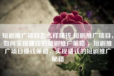 短剧推广项目怎么样赚钱 短剧推广项目，如何实现赚钱的短剧推广策略 ，短剧推广项目赚钱策略，实现赚钱的短剧推广秘籍