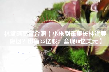 林斌晒高管合照【小米副董事长林斌要隐退？出售3.5亿股：套现10亿美元】
