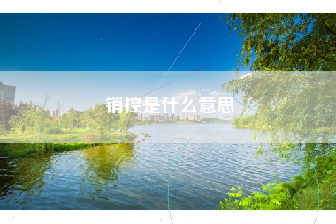 销控是什么意思