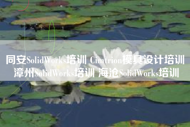 同安SolidWorks培训 Cimtrion模具设计培训 漳州SolidWorks培训 海沧SolidWorks培训