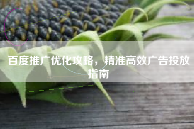 百度推广优化攻略，精准高效广告投放指南