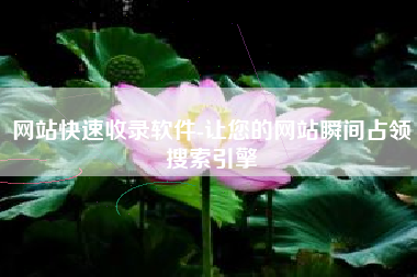 网站快速收录软件-让您的网站瞬间占领搜索引擎