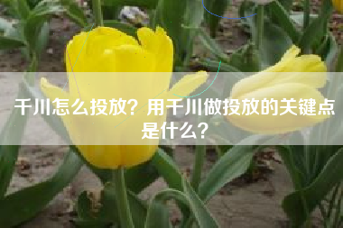 千川怎么投放？用千川做投放的关键点是什么？