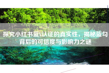 探究小红书蓝V认证的真实性，揭秘蓝勾背后的可信度与影响力之谜