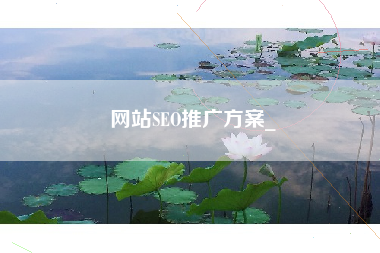 网站SEO推广方案_
