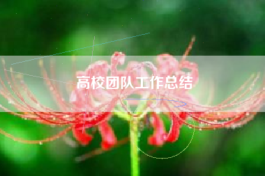 高校团队工作总结
