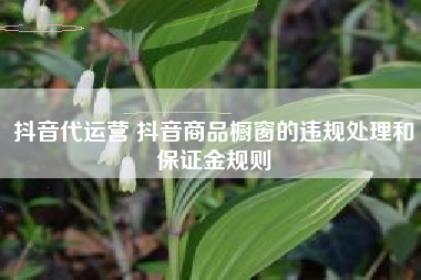 抖音代运营 抖音商品橱窗的违规处理和保证金规则