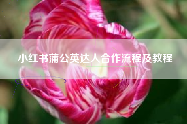 小红书蒲公英达人合作流程及教程