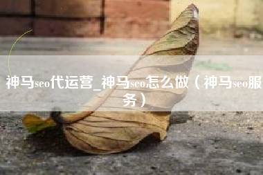 神马seo代运营_神马seo怎么做（神马seo服务）