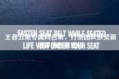 王者五黑专属网名集，打造团队默契新境界的创意密码