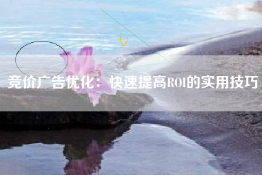 竞价广告优化：快速提高ROI的实用技巧