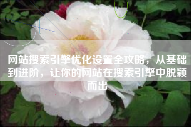 网站搜索引擎优化设置全攻略，从基础到进阶，让你的网站在搜索引擎中脱颖而出
