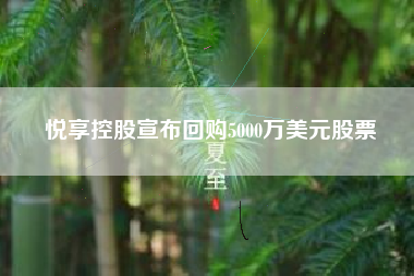 悦享控股宣布回购5000万美元股票