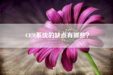 CRM系统的缺点有哪些？