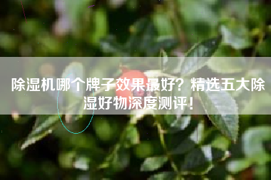 除湿机哪个牌子效果最好？精选五大除湿好物深度测评！