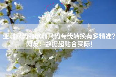 亚洲尺码和欧洲尺码专线转换有多精准？网友：数据超贴合实际！
