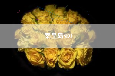 秦皇岛SEO