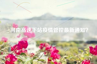 河南高速下站疫情管控最新通知？