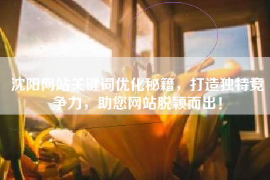 沈阳网站关键词优化秘籍，打造独特竞争力，助您网站脱颖而出！