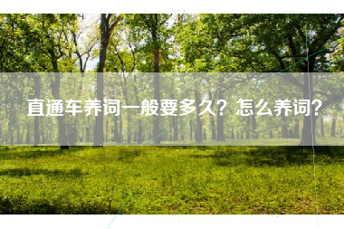 直通车养词一般要多久？怎么养词？