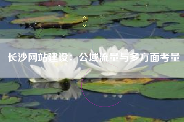 长沙网站建设：公域流量与多方面考量