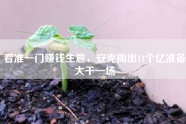 看准一门赚钱生意，安克掏出11个亿准备大干一场