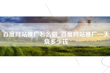 百度网站推广怎么做_百度网站推广一天烧多少钱