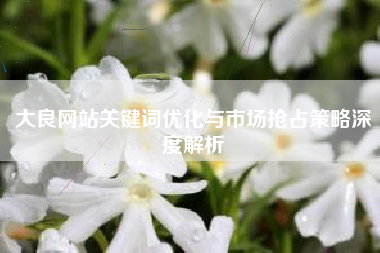 大良网站关键词优化与市场抢占策略深度解析