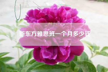 新东方雅思班一个月多少钱