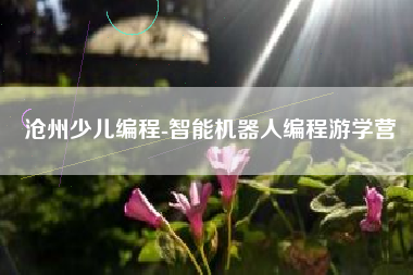 沧州少儿编程-智能机器人编程游学营