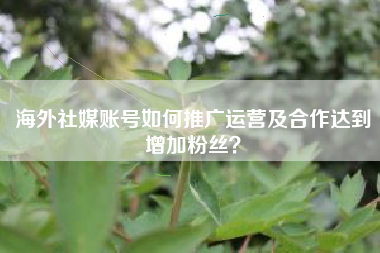 海外社媒账号如何推广运营及合作达到增加粉丝？