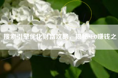搜索引擎优化财富攻略，揭秘SEO赚钱之道