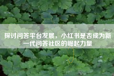 探讨问答平台发展，小红书是否成为新一代问答社区的崛起力量