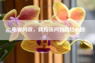 电视问政，就应该问到脸红心跳