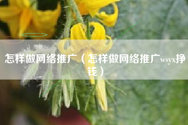 怎样做网络推广（怎样做网络推广wsyx挣钱）