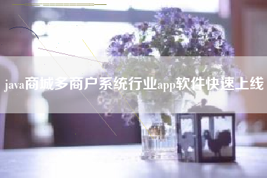 java商城多商户系统行业app软件快速上线
