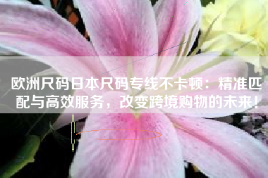 欧洲尺码日本尺码专线不卡顿：精准匹配与高效服务，改变跨境购物的未来！