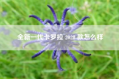 全新一代卡罗拉 2020 款怎么样