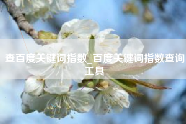 查百度关键词指数_百度关键词指数查询工具