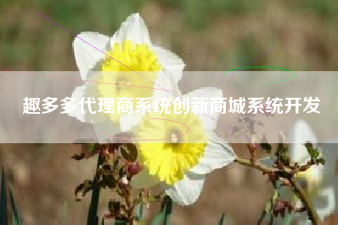 趣多多代理商系统创新商城系统开发