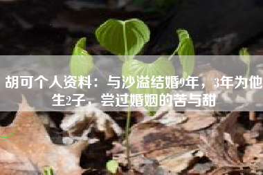 胡可个人资料：与沙溢结婚9年，3年为他生2子，尝过婚姻的苦与甜