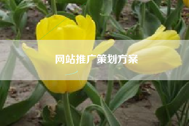 网站推广策划方案