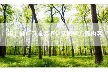 线上推广引流渠道包括哪些方面内容