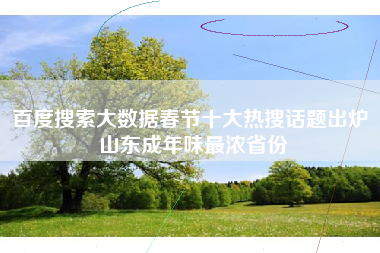 百度搜索大数据春节十大热搜话题出炉 山东成年味最浓省份