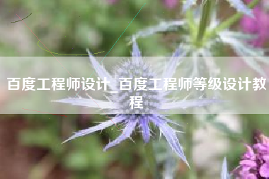 百度工程师设计_百度工程师等级设计教程