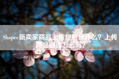 Shopee新卖家商品上传规则是什么？上传商品描述怎么写？
